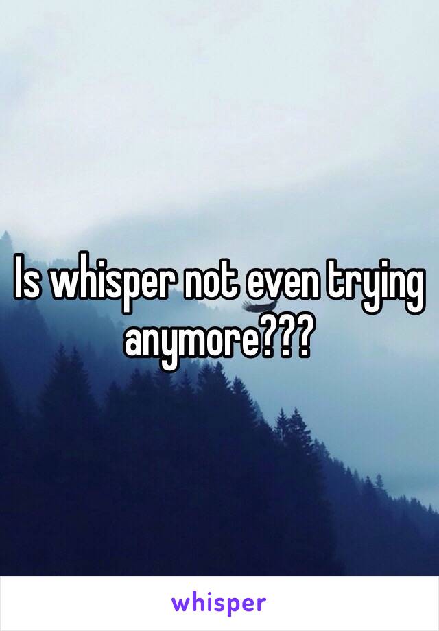 Is whisper not even trying anymore???