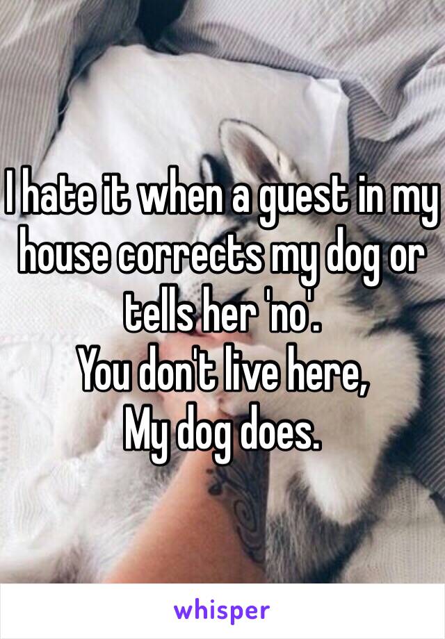 I hate it when a guest in my house corrects my dog or tells her 'no'.
You don't live here, 
My dog does.