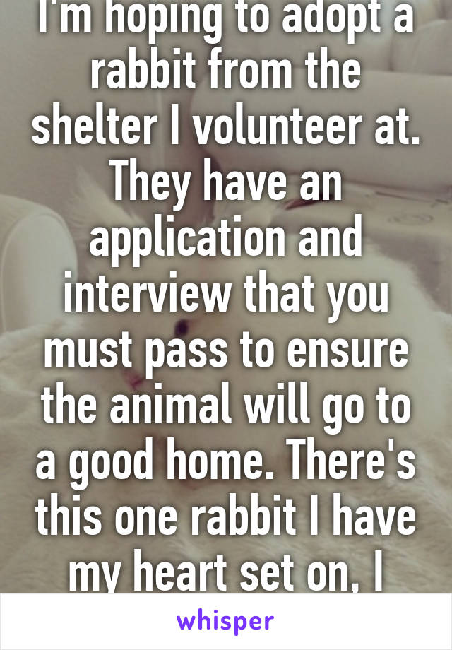 I'm hoping to adopt a rabbit from the shelter I volunteer at. They have an application and interview that you must pass to ensure the animal will go to a good home. There's this one rabbit I have my heart set on, I hope I can get her!