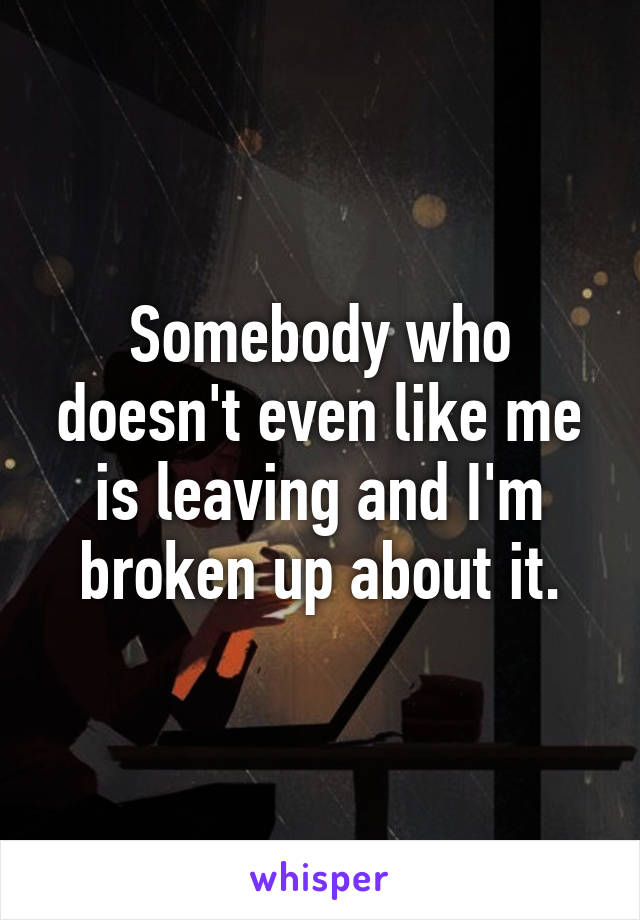 Somebody who doesn't even like me is leaving and I'm broken up about it.