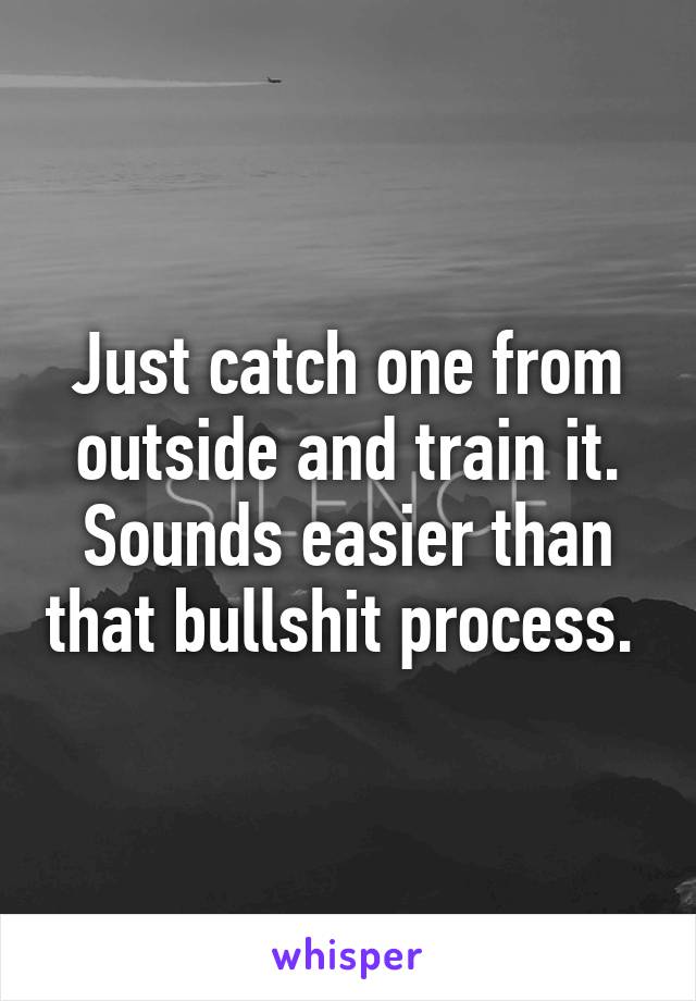 Just catch one from outside and train it. Sounds easier than that bullshit process. 