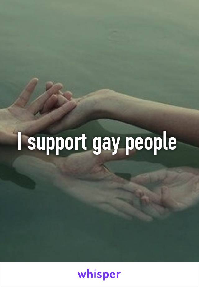 I support gay people 