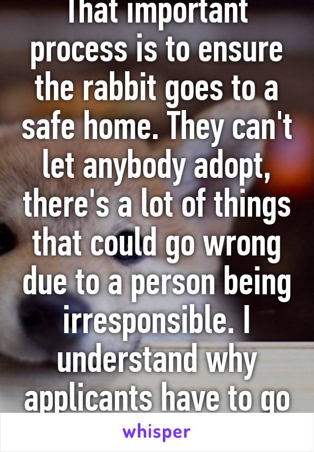 That important process is to ensure the rabbit goes to a safe home. They can't let anybody adopt, there's a lot of things that could go wrong due to a person being irresponsible. I understand why applicants have to go through the process. 