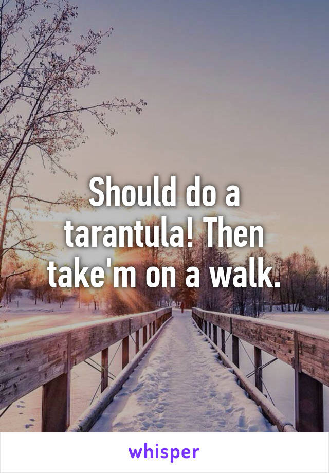 Should do a tarantula! Then take'm on a walk.