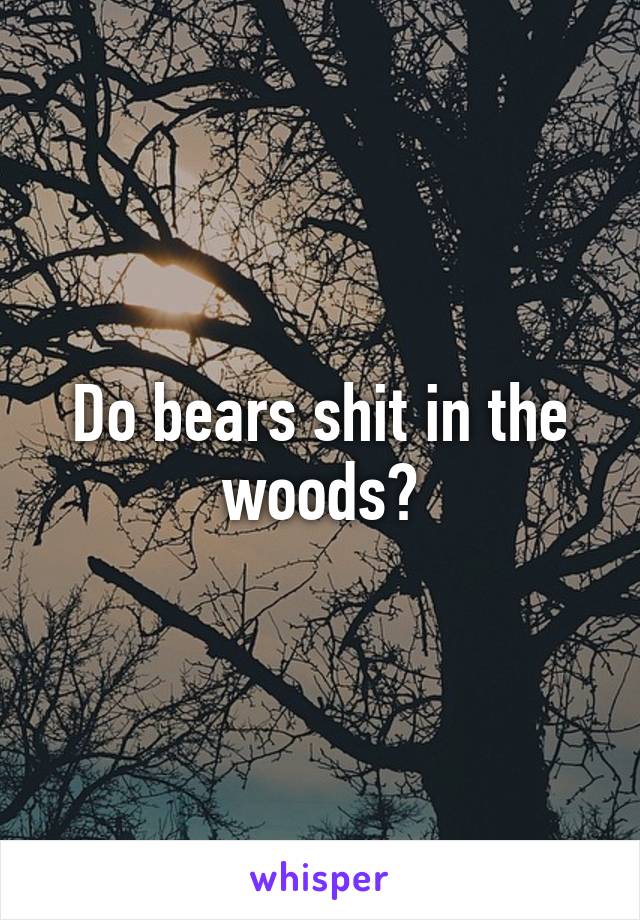 Do bears shit in the woods?