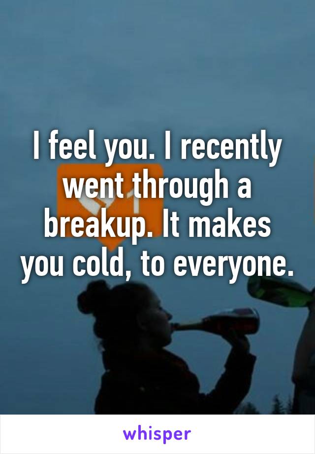 I feel you. I recently went through a breakup. It makes you cold, to everyone. 