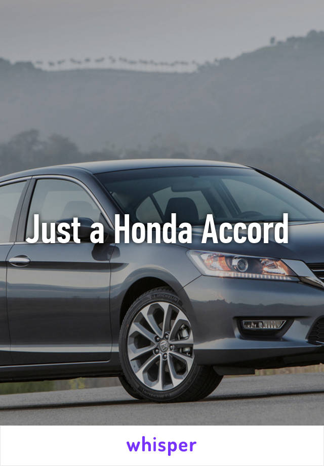 Just a Honda Accord 