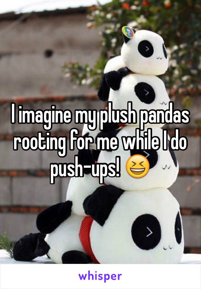 I imagine my plush pandas rooting for me while I do push-ups! 😆