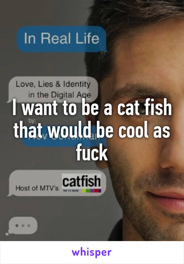 I want to be a cat fish that would be cool as fuck