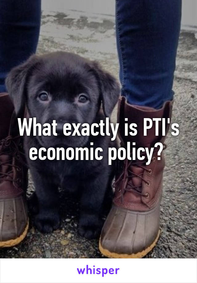 What exactly is PTI's economic policy? 