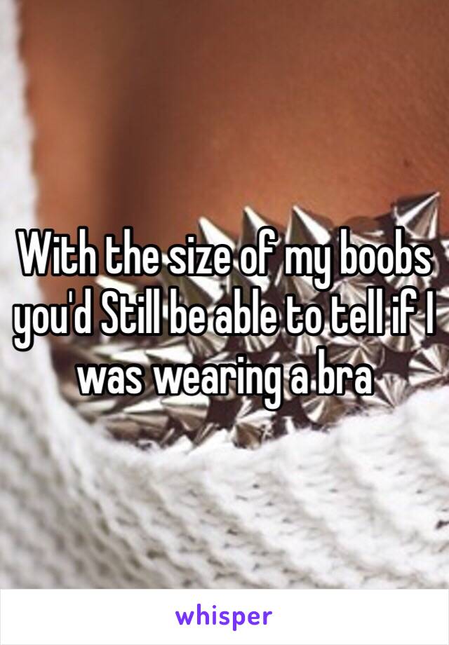 With the size of my boobs you'd Still be able to tell if I was wearing a bra 