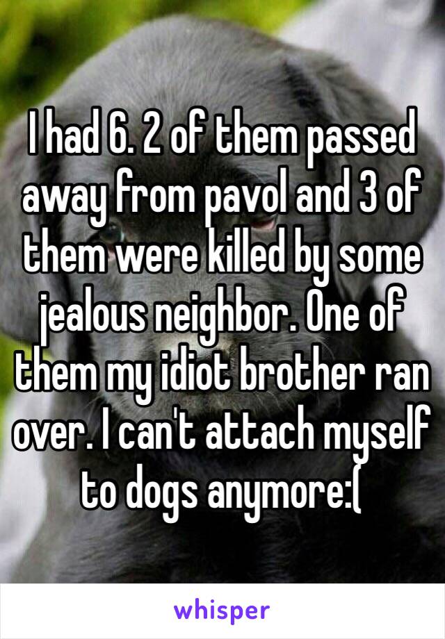 I had 6. 2 of them passed away from pavol and 3 of them were killed by some jealous neighbor. One of them my idiot brother ran over. I can't attach myself to dogs anymore:(