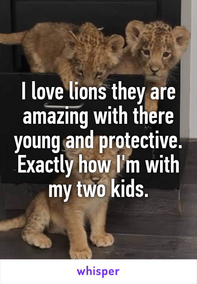 I love lions they are amazing with there young and protective. Exactly how I'm with my two kids.