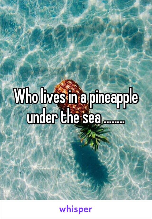 Who lives in a pineapple under the sea ........ 