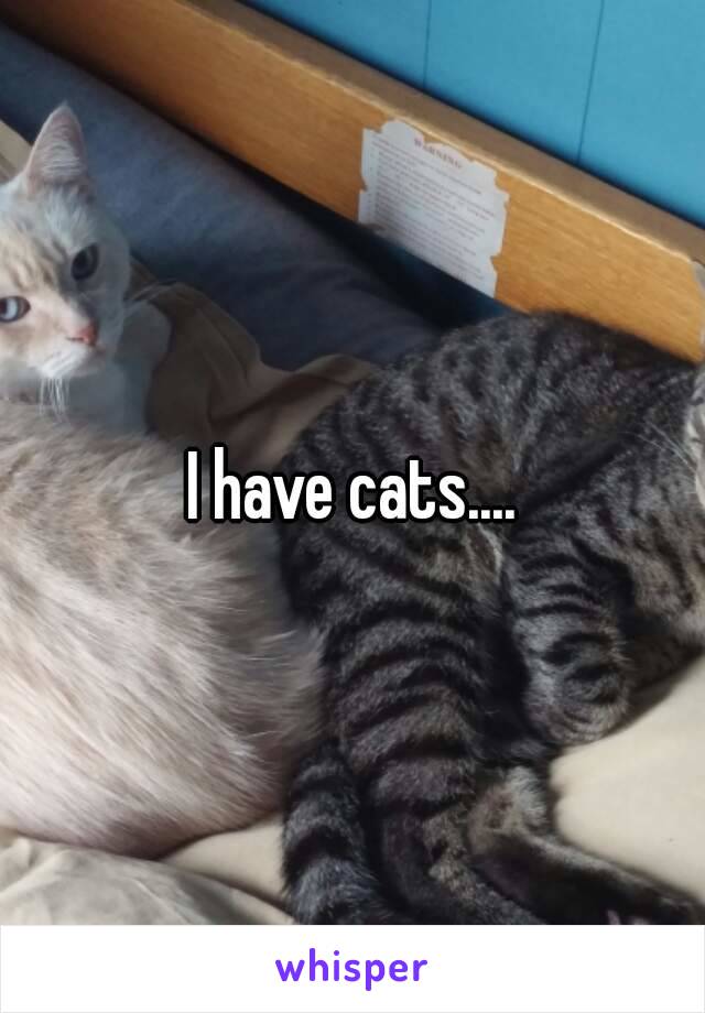 I have cats....