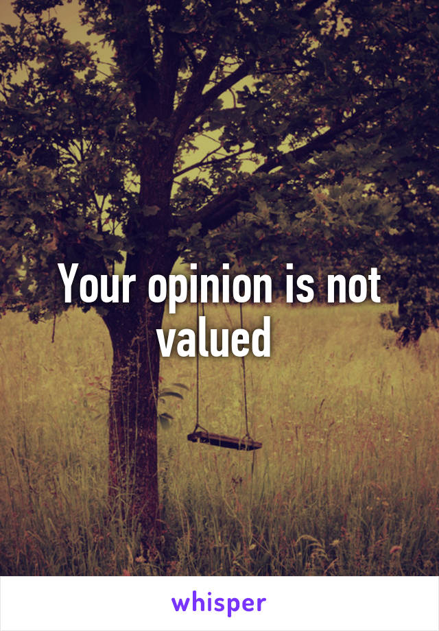 Your opinion is not valued 