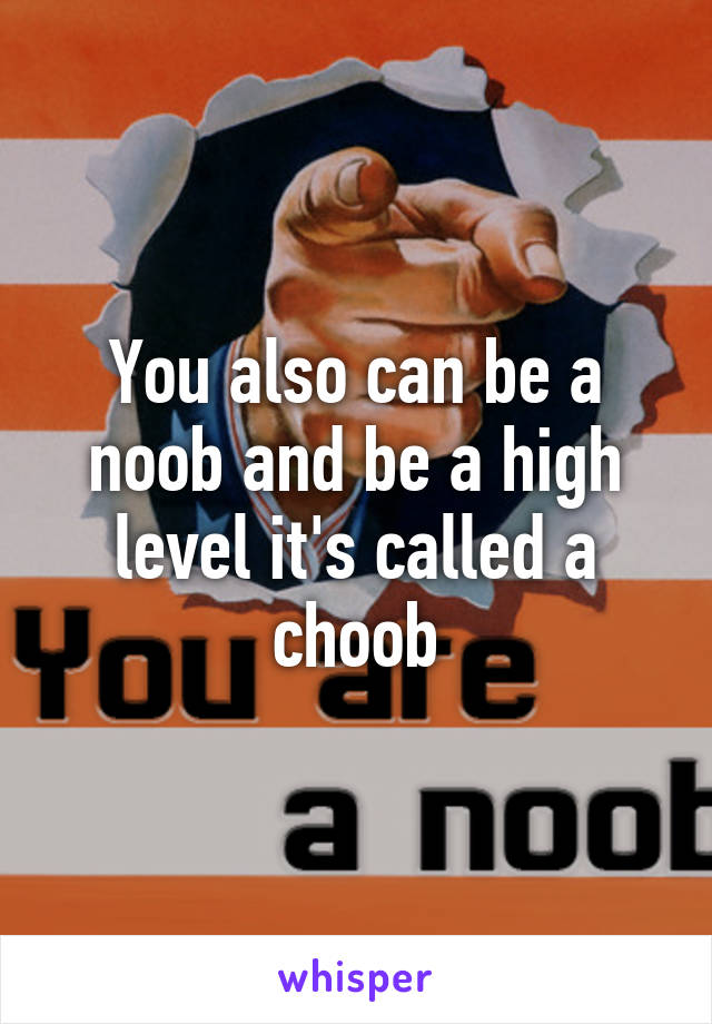 You also can be a noob and be a high level it's called a choob