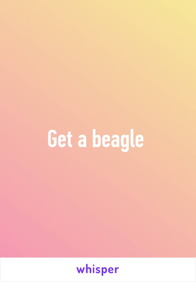 Get a beagle 