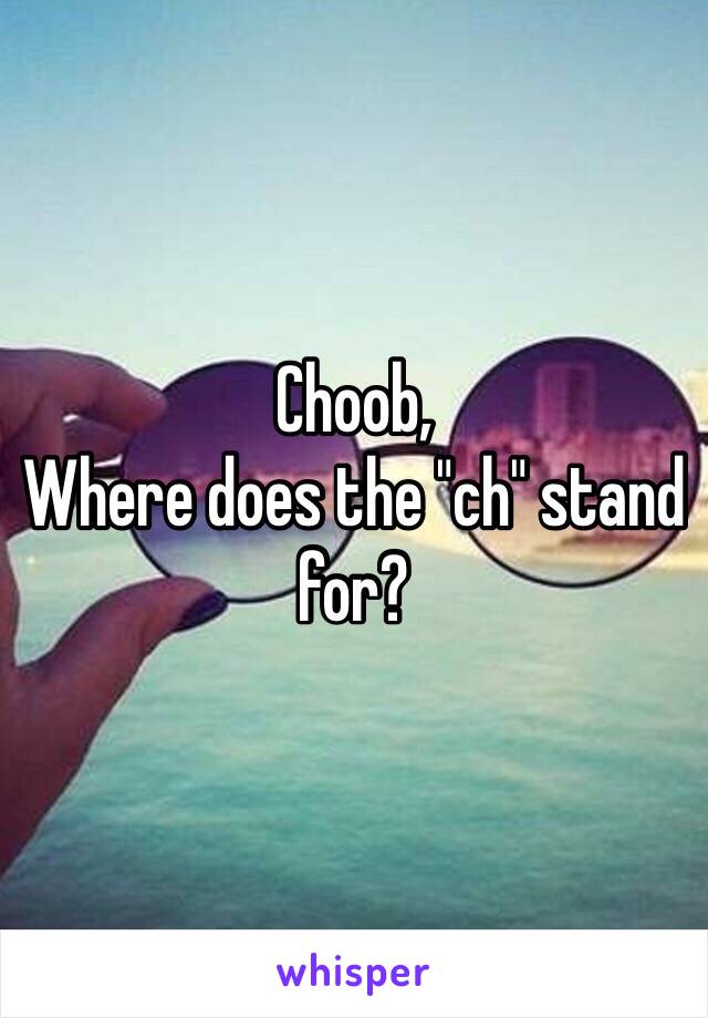 Choob,
Where does the "ch" stand for?