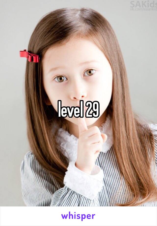 level 29