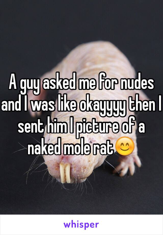 A guy asked me for nudes and I was like okayyyy then I sent him I picture of a naked mole rat😊