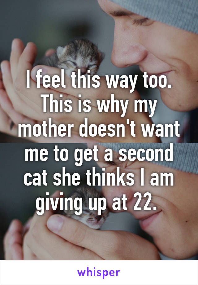 I feel this way too. This is why my mother doesn't want me to get a second cat she thinks I am giving up at 22. 