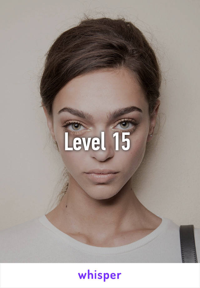 Level 15 