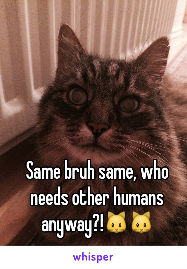 Same bruh same, who needs other humans anyway?!🐱🐱