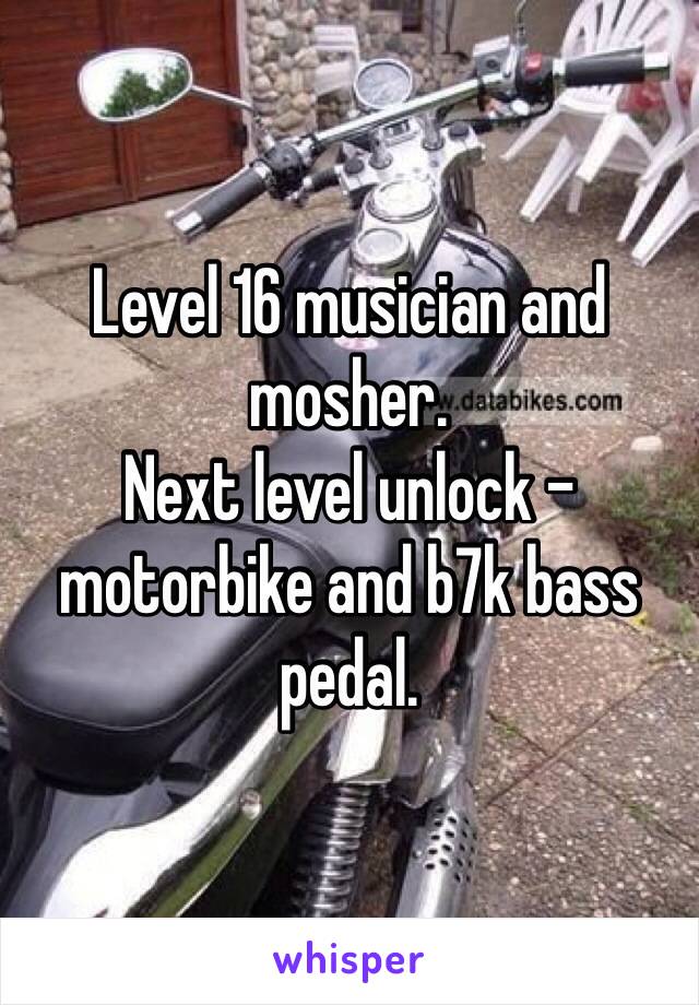 Level 16 musician and mosher.
Next level unlock - motorbike and b7k bass pedal.