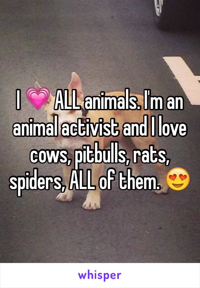 I 💗 ALL animals. I'm an animal activist and I love cows, pitbulls, rats, spiders, ALL of them. 😍