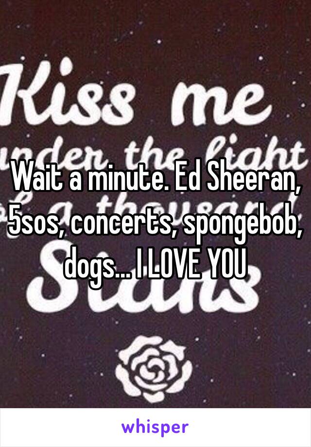 Wait a minute. Ed Sheeran, 5sos, concerts, spongebob, dogs... I LOVE YOU