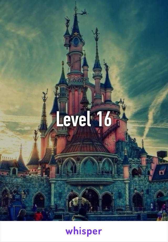 Level 16