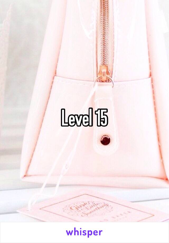 Level 15