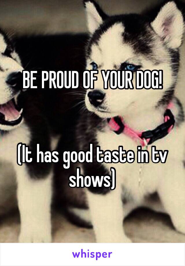 BE PROUD OF YOUR DOG!


(It has good taste in tv shows)