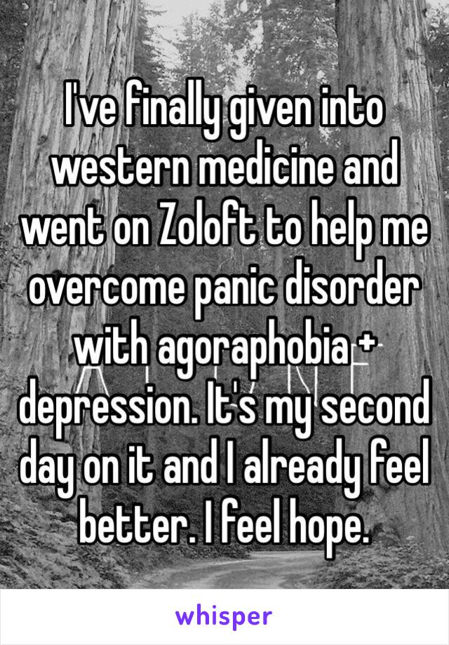 I've finally given into western medicine and went on Zoloft to help me overcome panic disorder with agoraphobia + depression. It's my second day on it and I already feel better. I feel hope. 