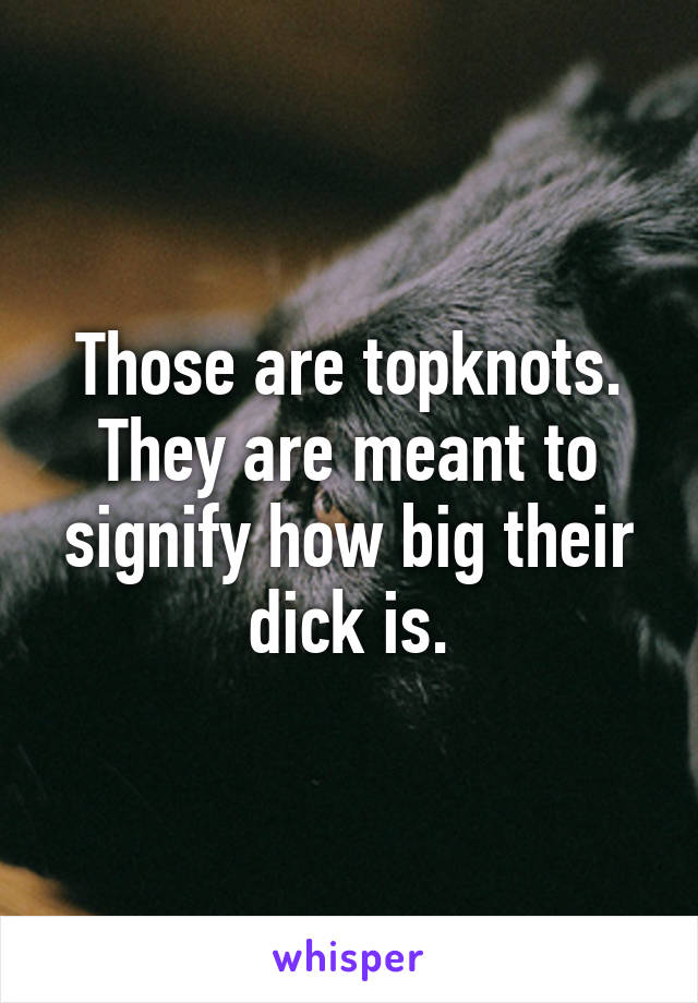 Those are topknots. They are meant to signify how big their dick is.