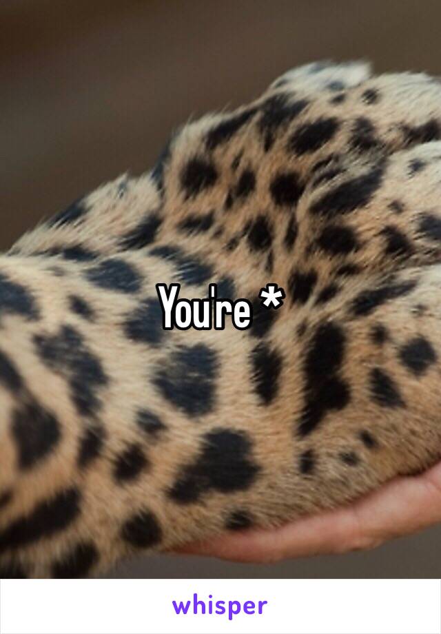 You're * 