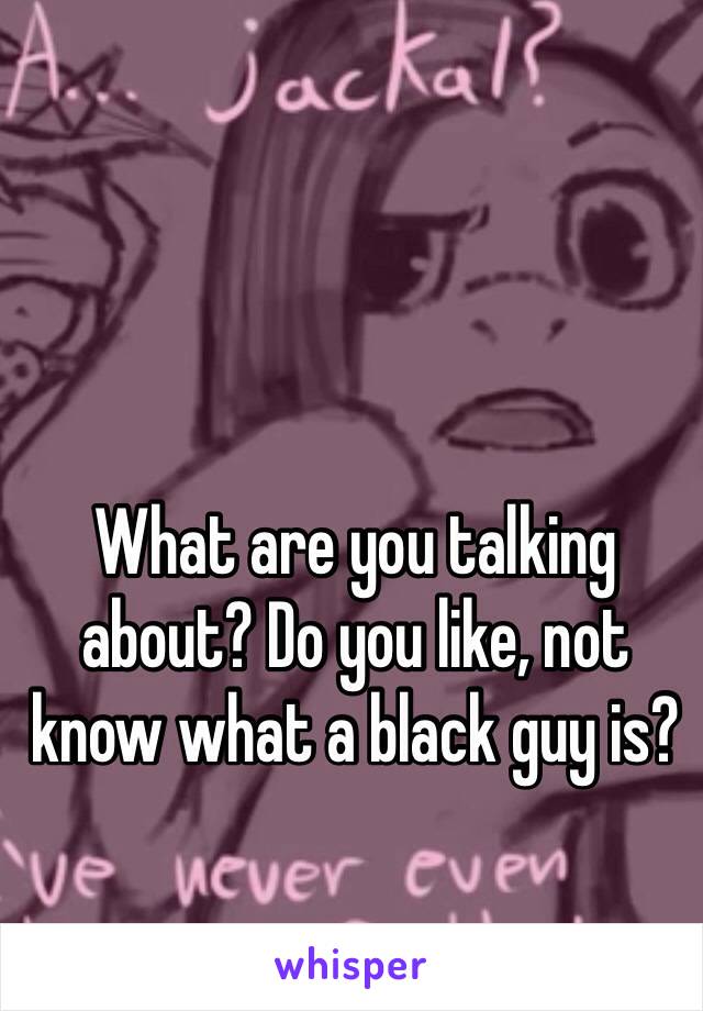 What are you talking about? Do you like, not know what a black guy is?