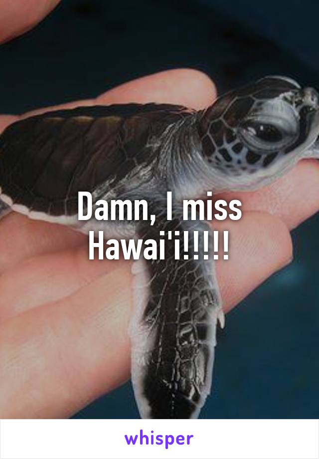 Damn, I miss Hawai'i!!!!!