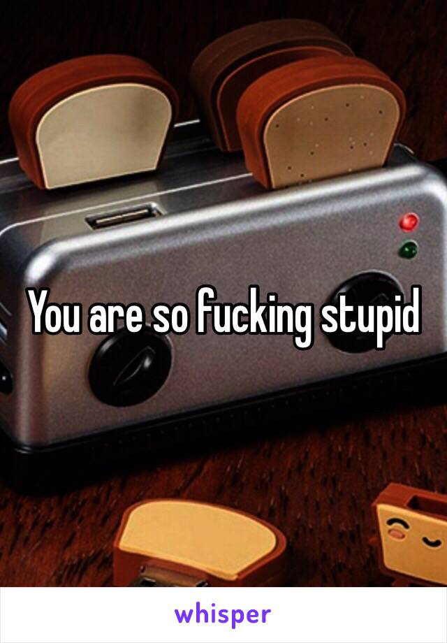 You are so fucking stupid 