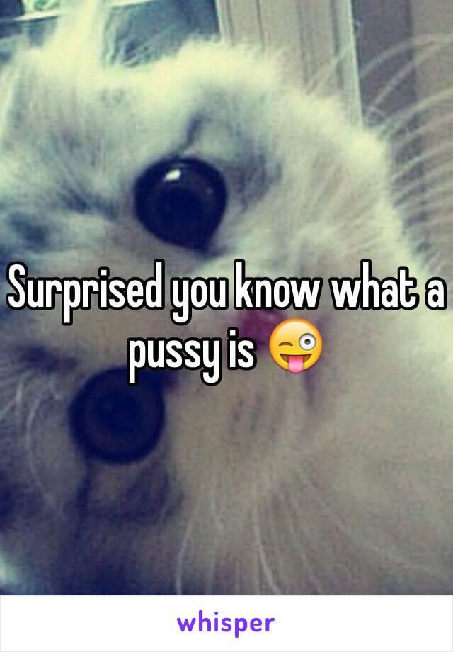 Surprised you know what a pussy is 😜