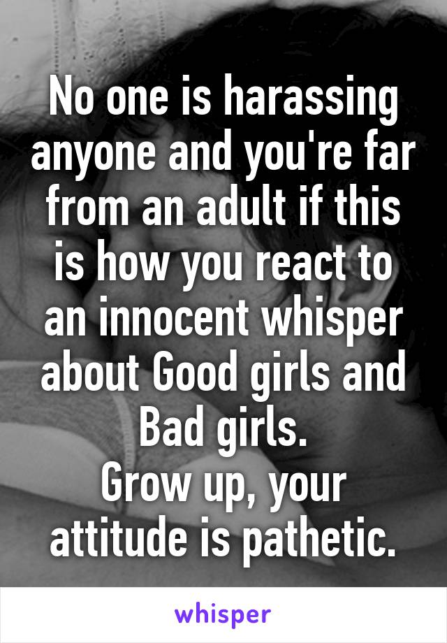 No one is harassing anyone and you're far from an adult if this is how you react to an innocent whisper about Good girls and Bad girls.
Grow up, your attitude is pathetic.