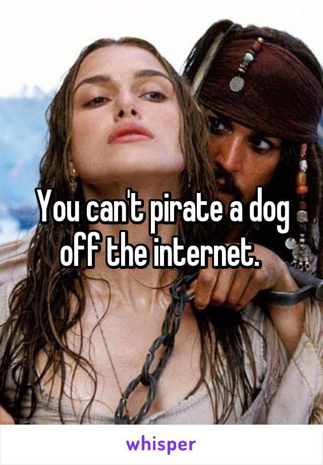 You can't pirate a dog off the internet. 