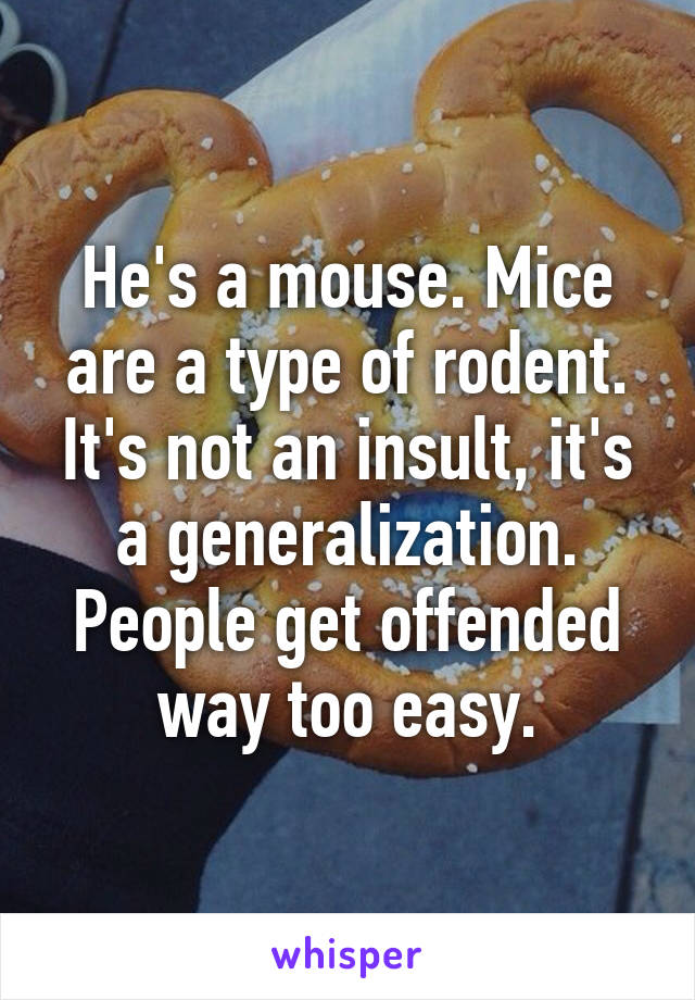 He's a mouse. Mice are a type of rodent. It's not an insult, it's a generalization. People get offended way too easy.