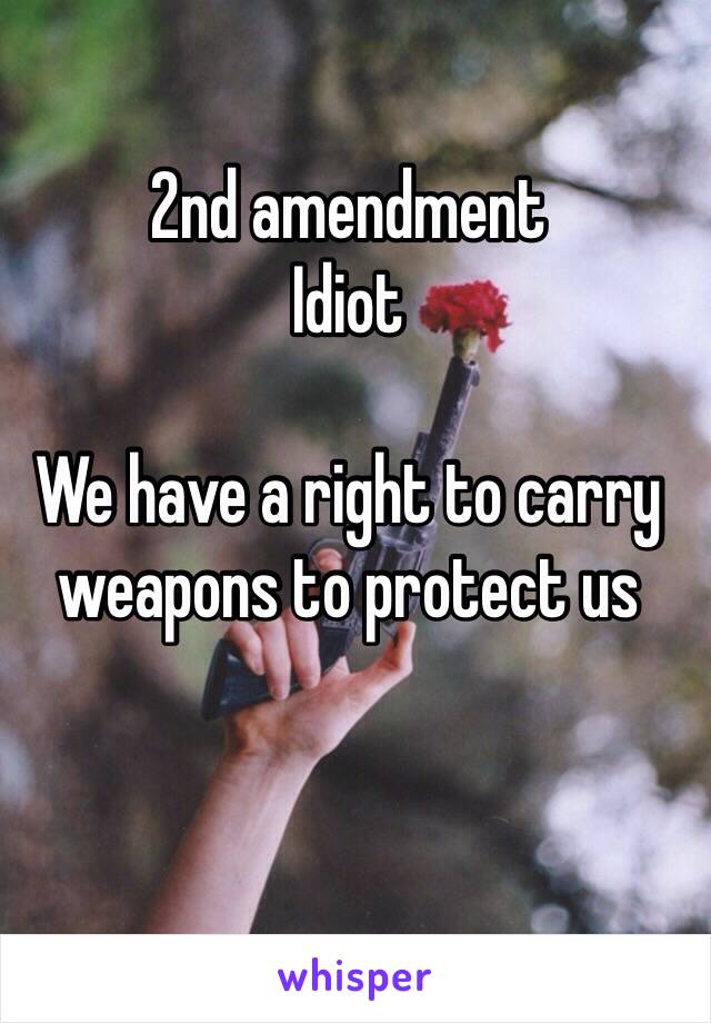 2nd amendment 
Idiot

We have a right to carry weapons to protect us 