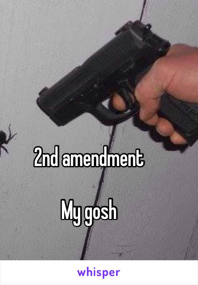 2nd amendment 

My gosh 