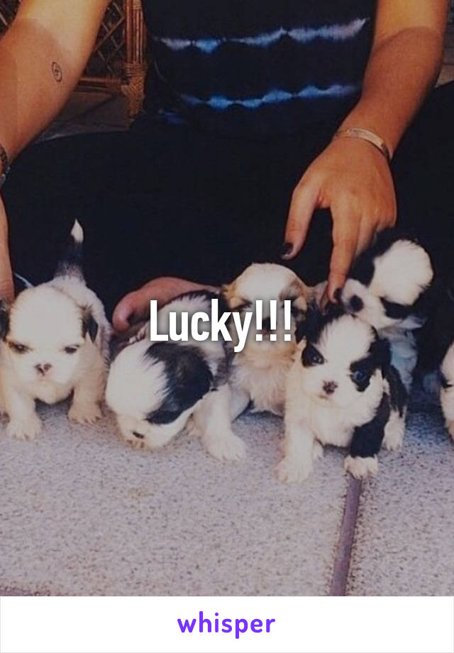 Lucky!!! 