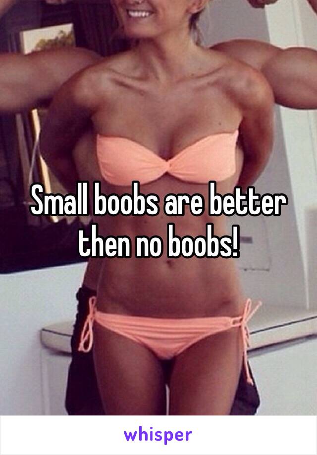 Small boobs are better then no boobs!