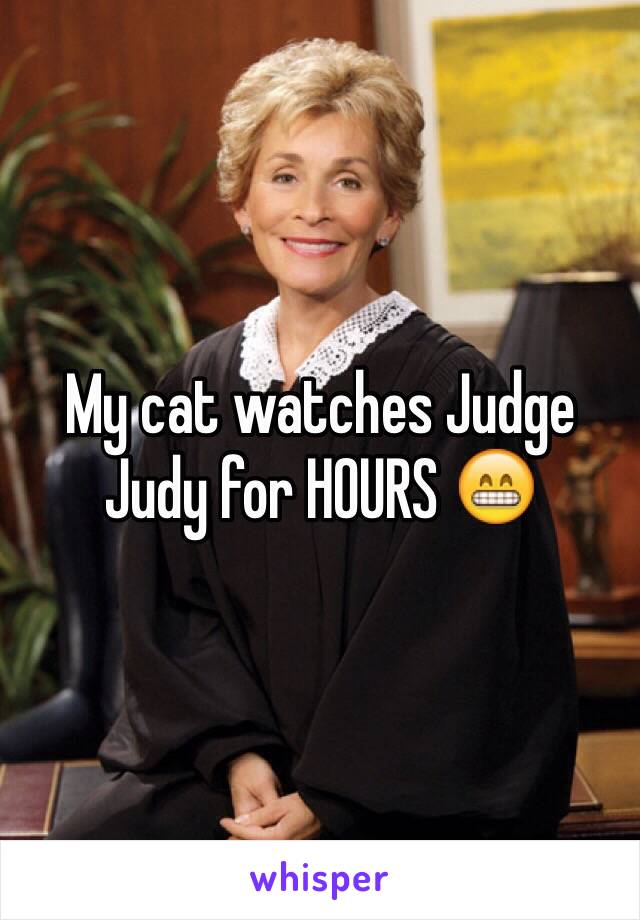 My cat watches Judge Judy for HOURS 😁