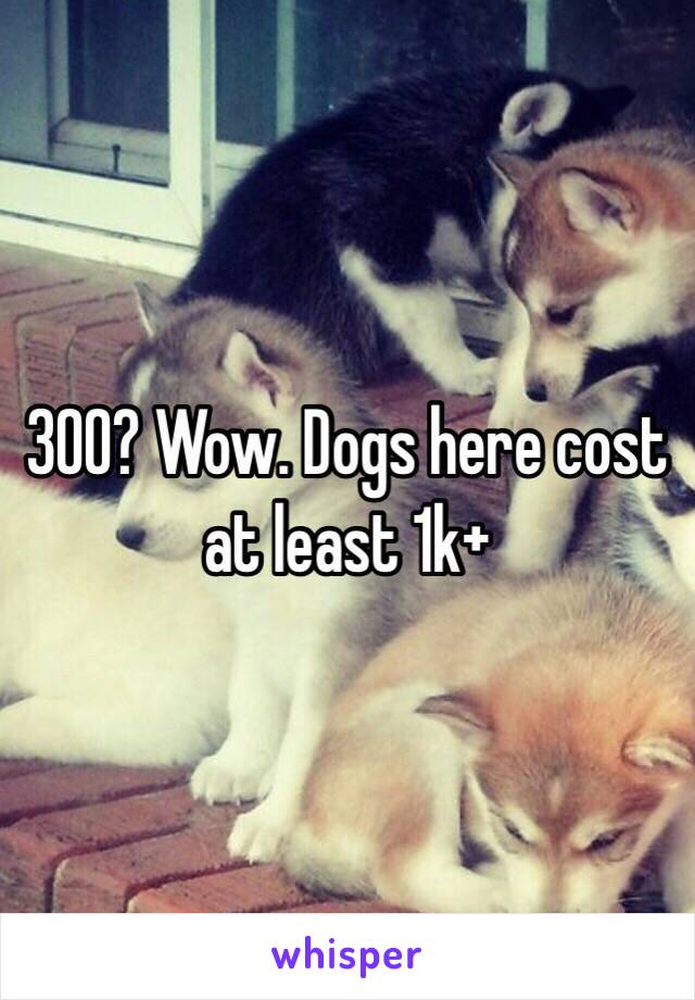 300? Wow. Dogs here cost at least 1k+